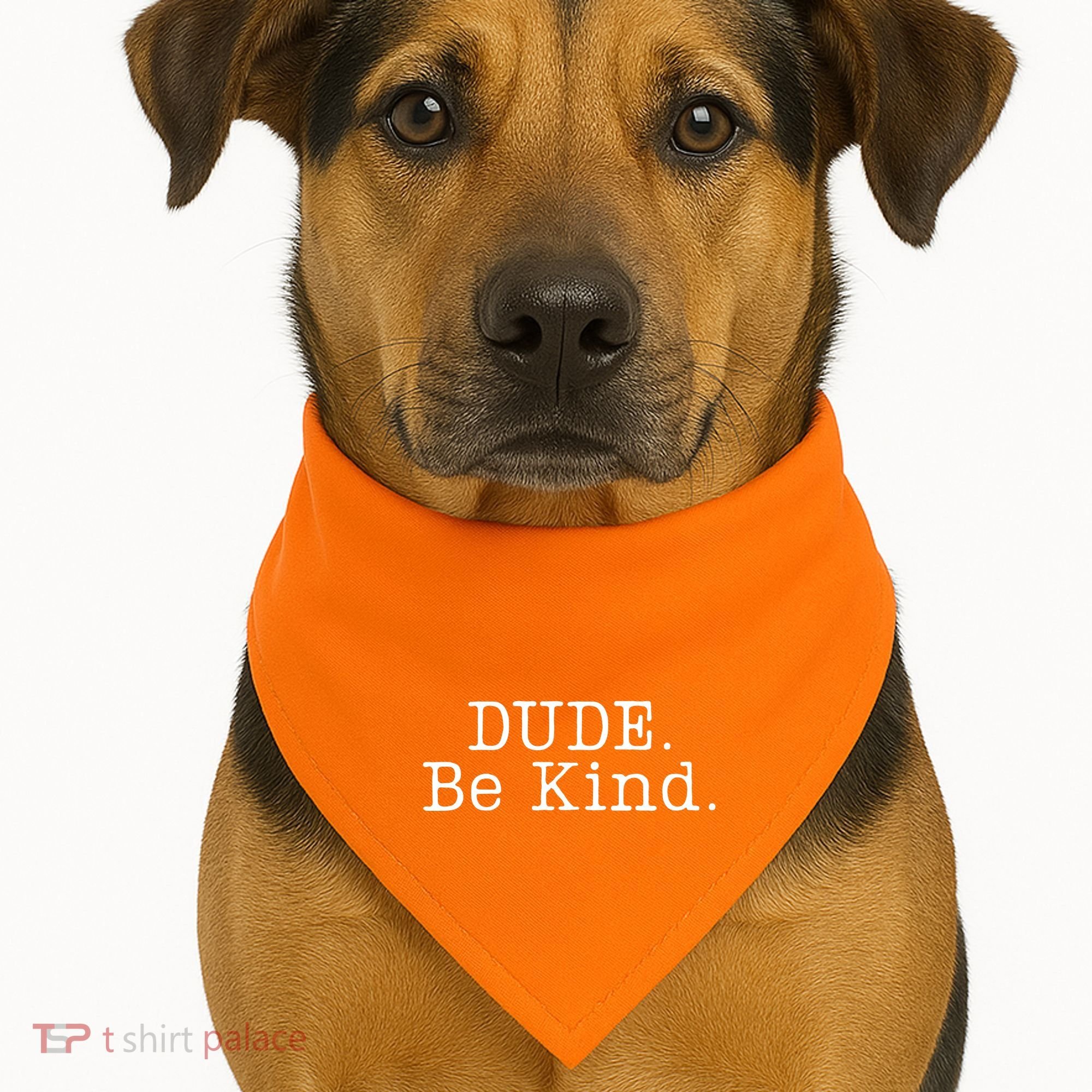 Dude Be Kind Every Child Matters USA-Made Doggie Bandana