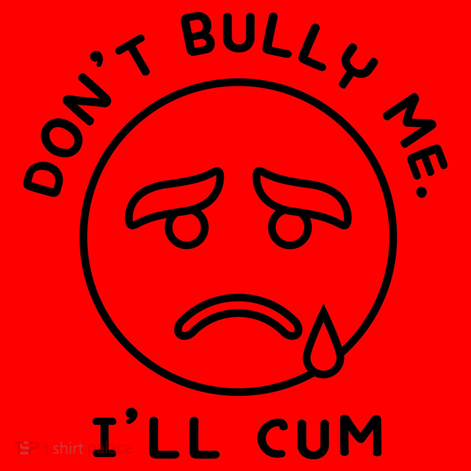 Don’t Bully Me. I’ll Cum Funny Santa Hat