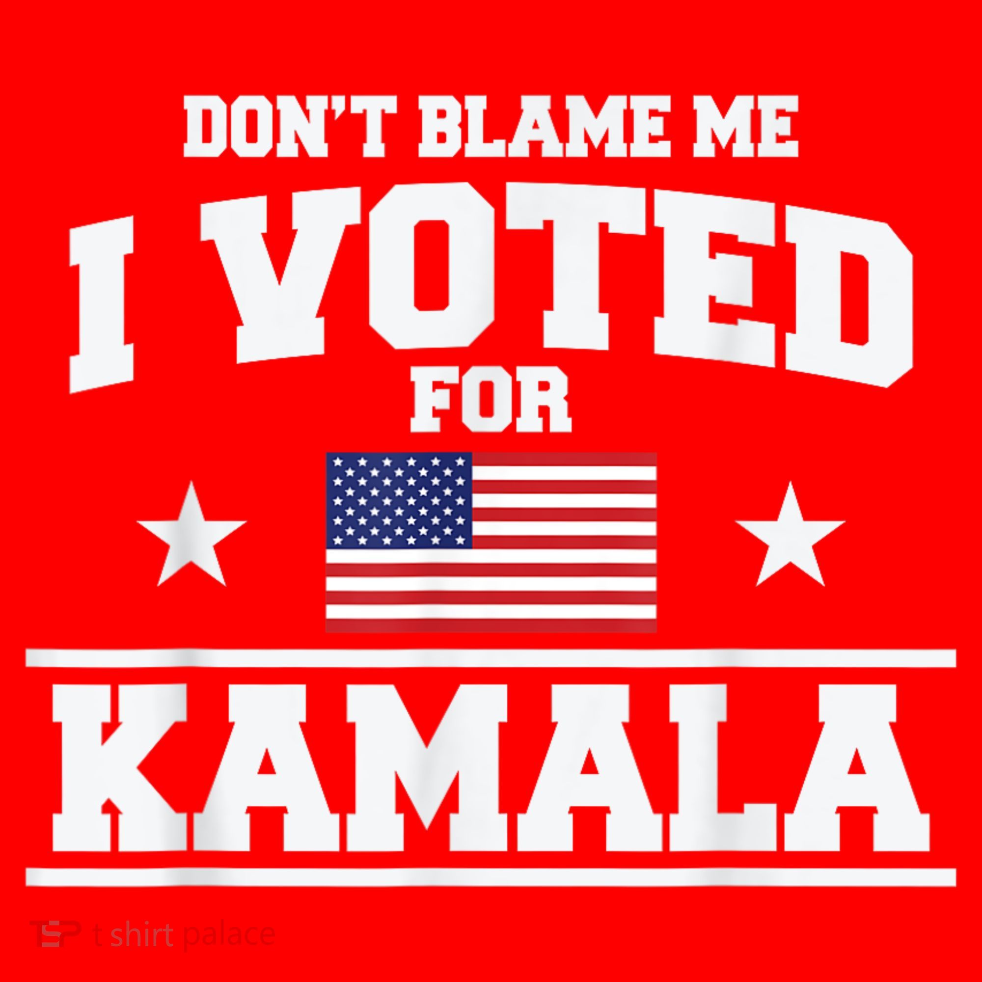 Dont Blame Me I Voted For Kamala Pro Harris Supporter Santa Hat
