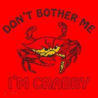 DonT Bother Me IM Crabby Funny Apparel Santa Hat thumb 1