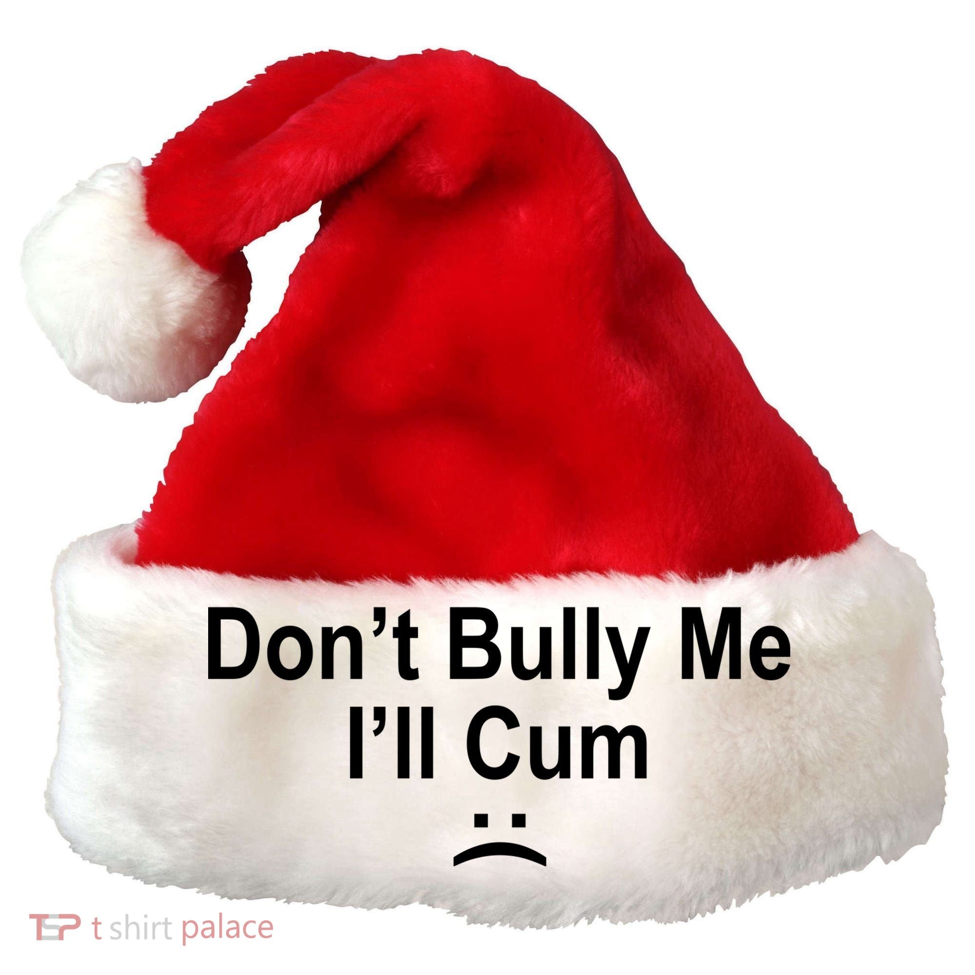 Don't Bully Me I'll Cum Sad Face Funny Santa Hat