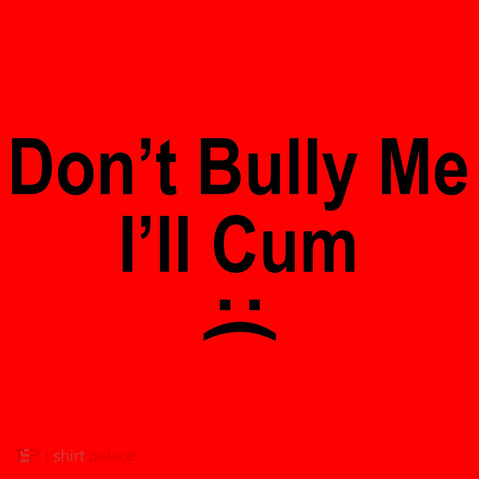 Don't Bully Me I'll Cum Sad Face Funny Santa Hat