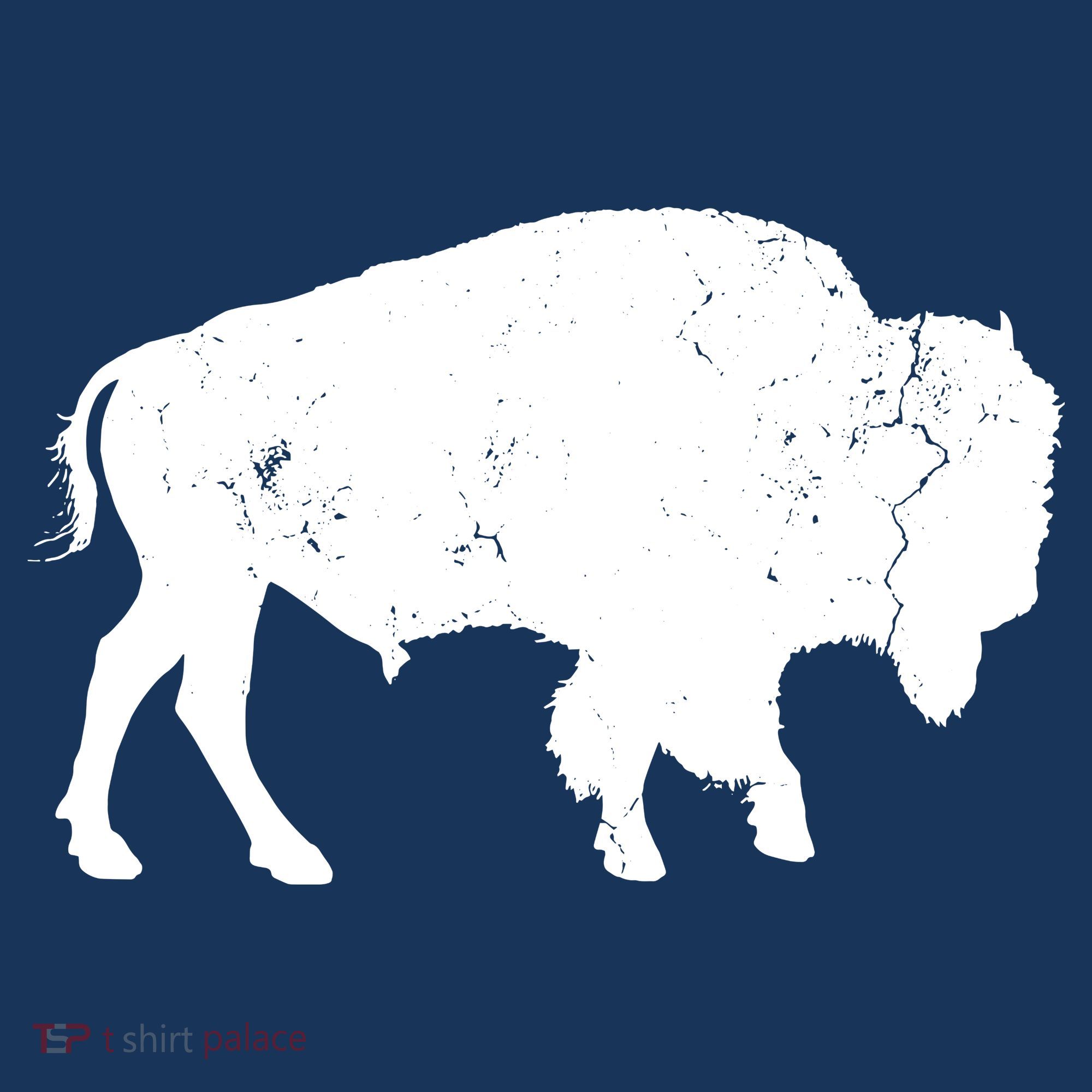 Distressed Buffalo Retro Bison Animal Lover Men Women Dad Women's Hoodie