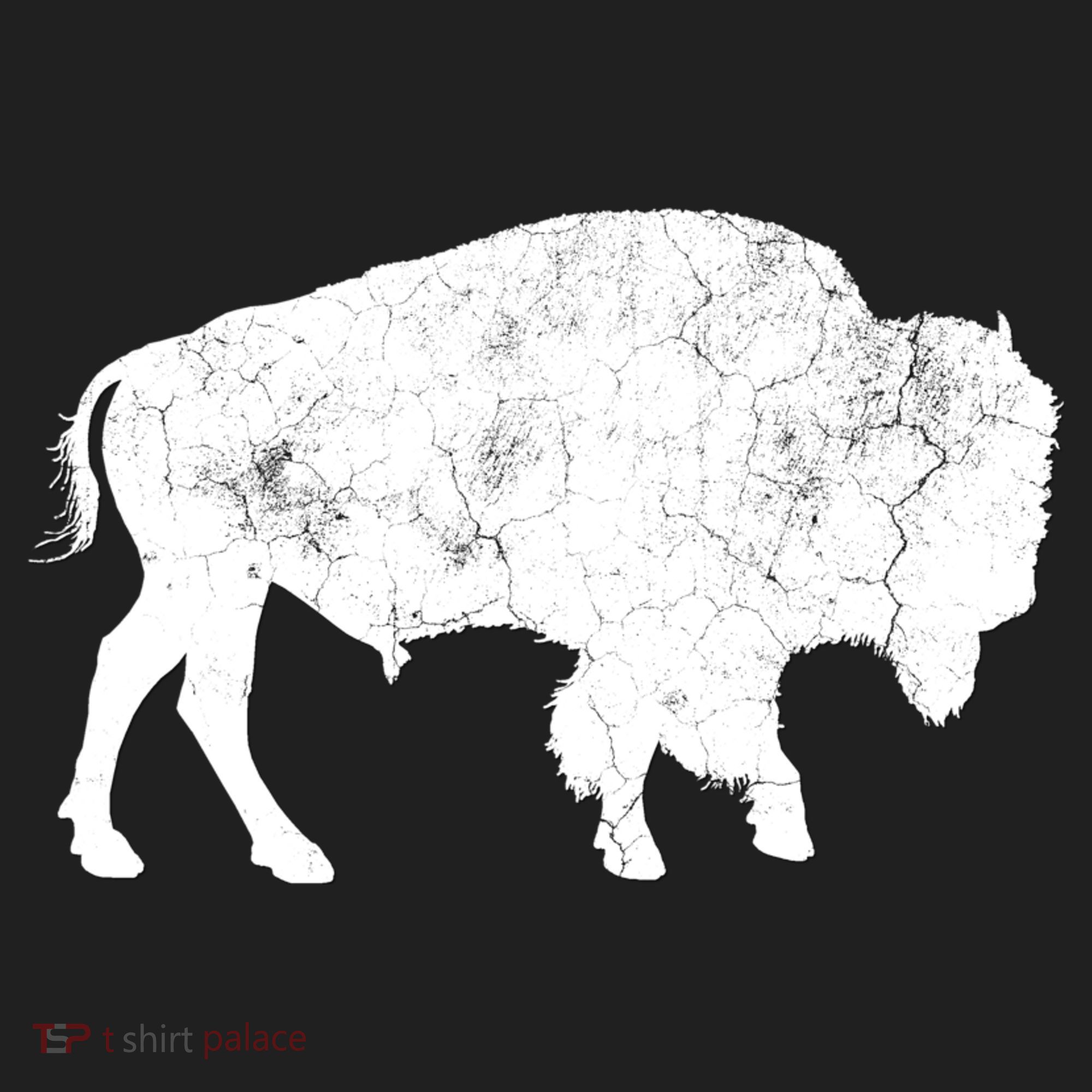 Distressed Buffalo Retro Bison Animal Lover Beanie