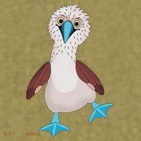 Dancing Booby Sea Bird Footed Blue Feet Drawing Garment-Dyed Women's Muscle Tee thumb 6