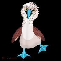 Dancing Booby Sea Bird Footed Blue Feet Drawing T-Shirt thumb 7