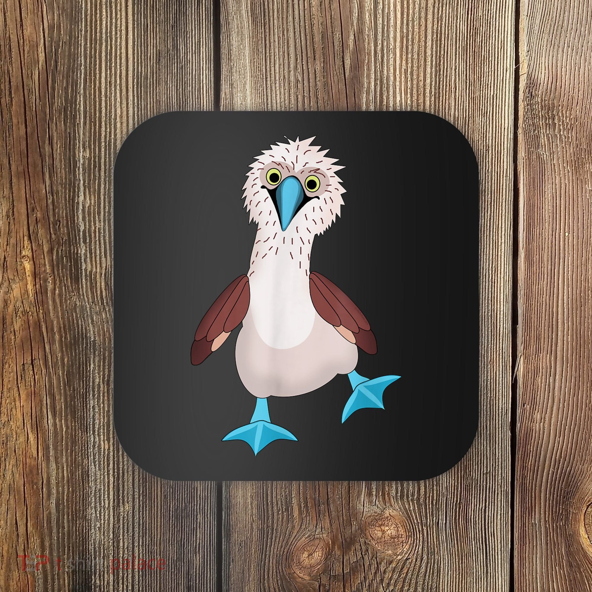 Dancing Booby Sea Bird Footed Blue Feet Drawing Coaster