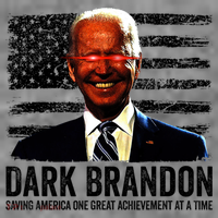 Dark Brandon Saving America Political USA Flag Toddler Hoodie thumb 2