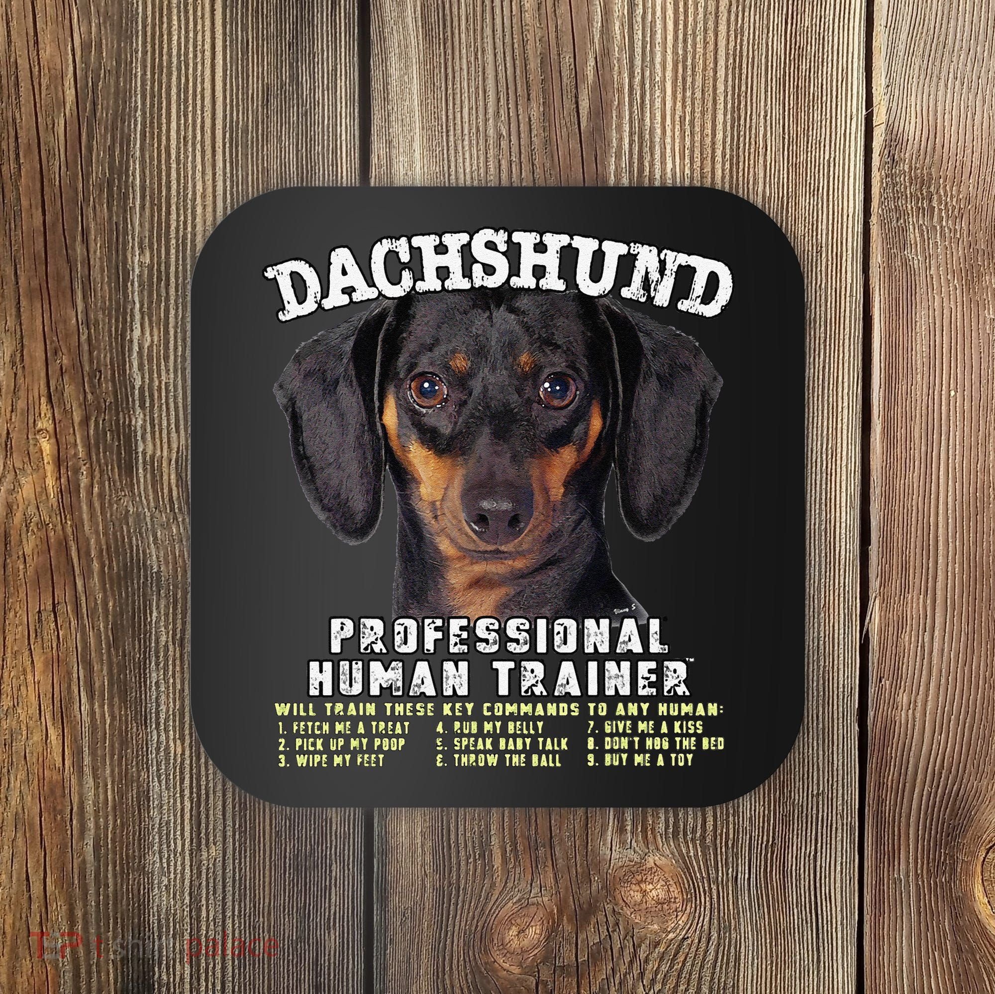 Dachshund Black Tan Professional Human Trainer Cute Dog Coaster