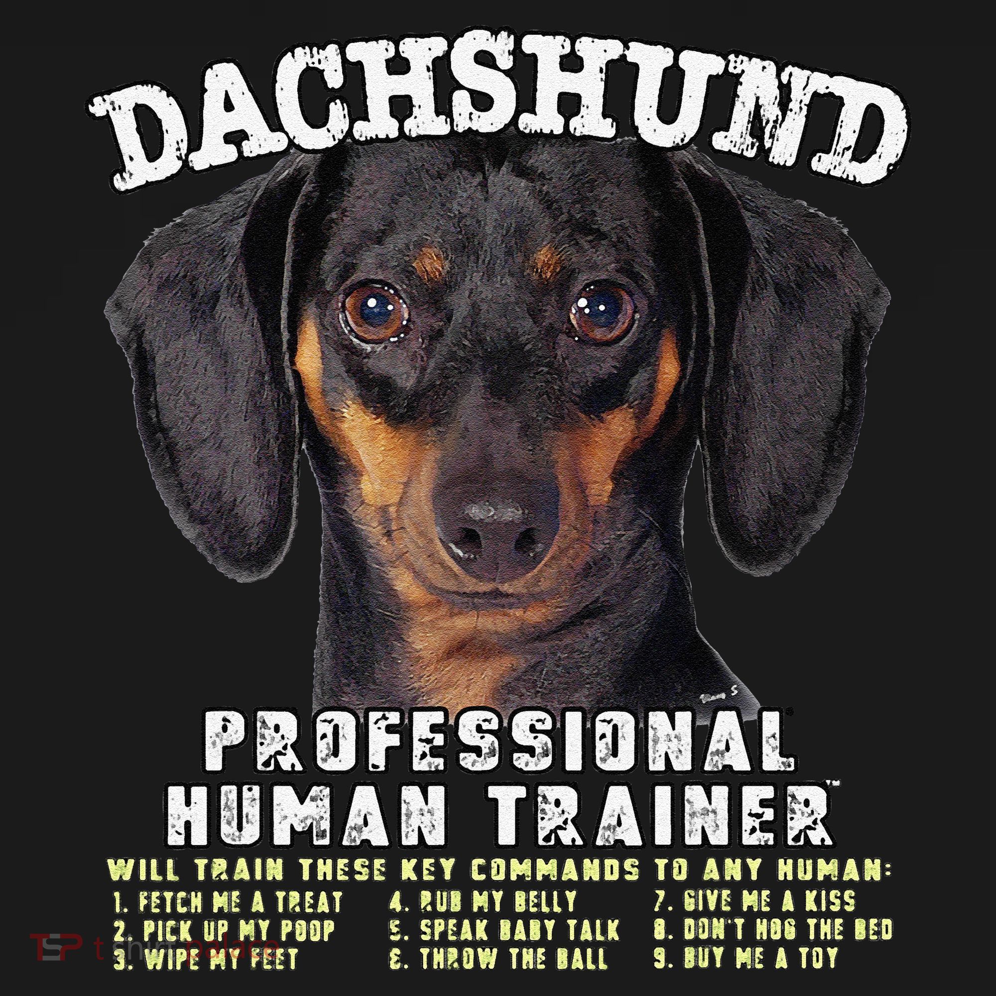 Dachshund Black Tan Professional Human Trainer Cute Dog Coaster