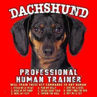 Dachshund Black Tan Professional Human Trainer Cute Dog Santa Hat thumb 1