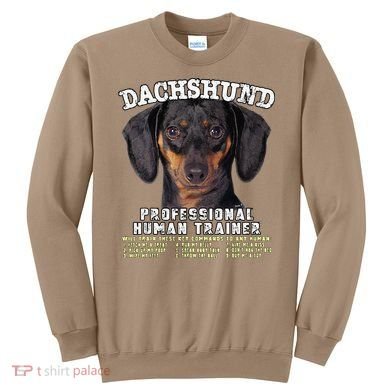 Dachshund Black Tan Professional Human Trainer Cute Dog Sweatshirt
