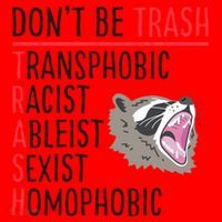 Don't Be Trash Funny Racoon Santa Hat thumb 1