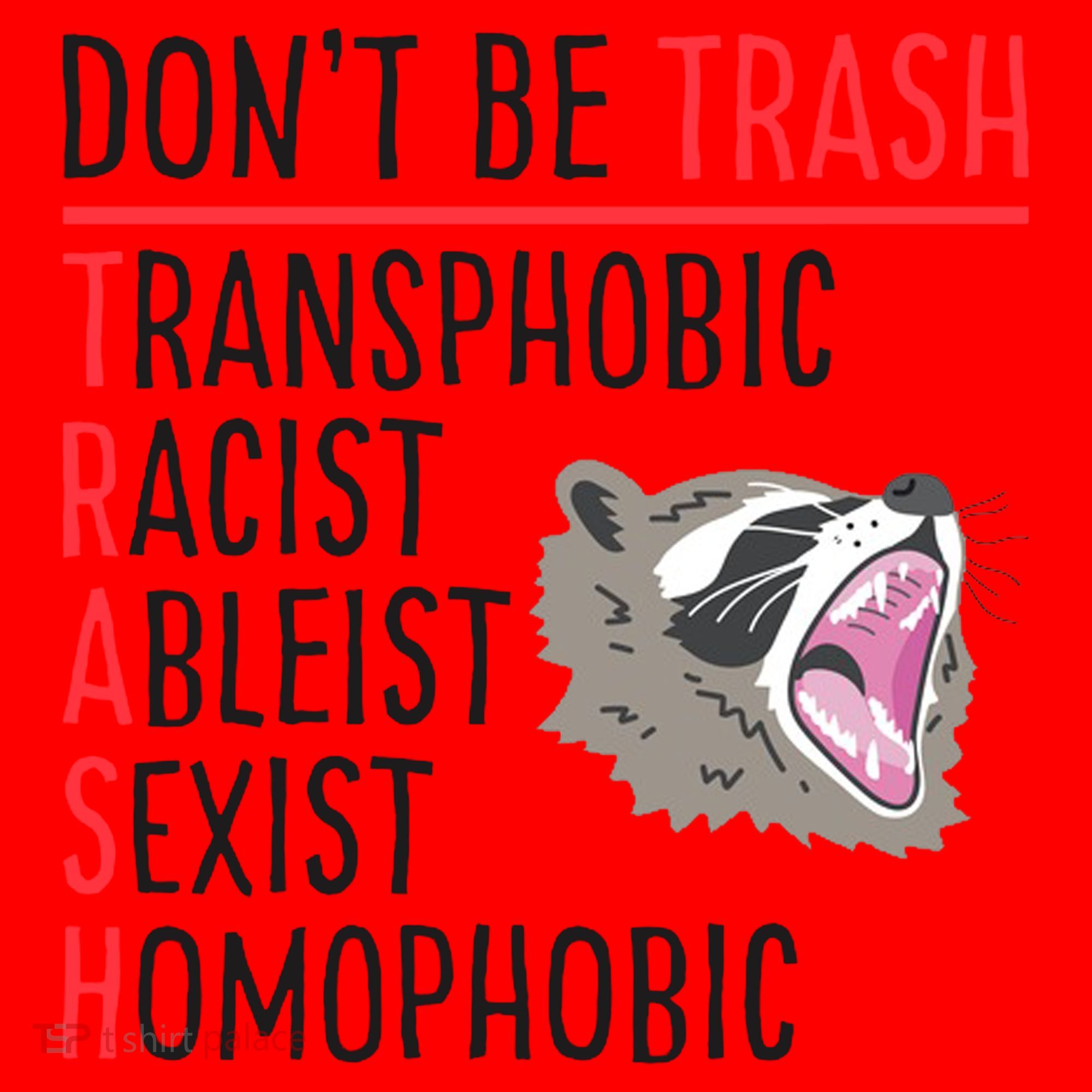 Don't Be Trash Funny Racoon Santa Hat