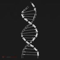 Dna Cycling Bicycle Chain Mountain Bike Lovers Outfit Women's Hoodie thumb 2