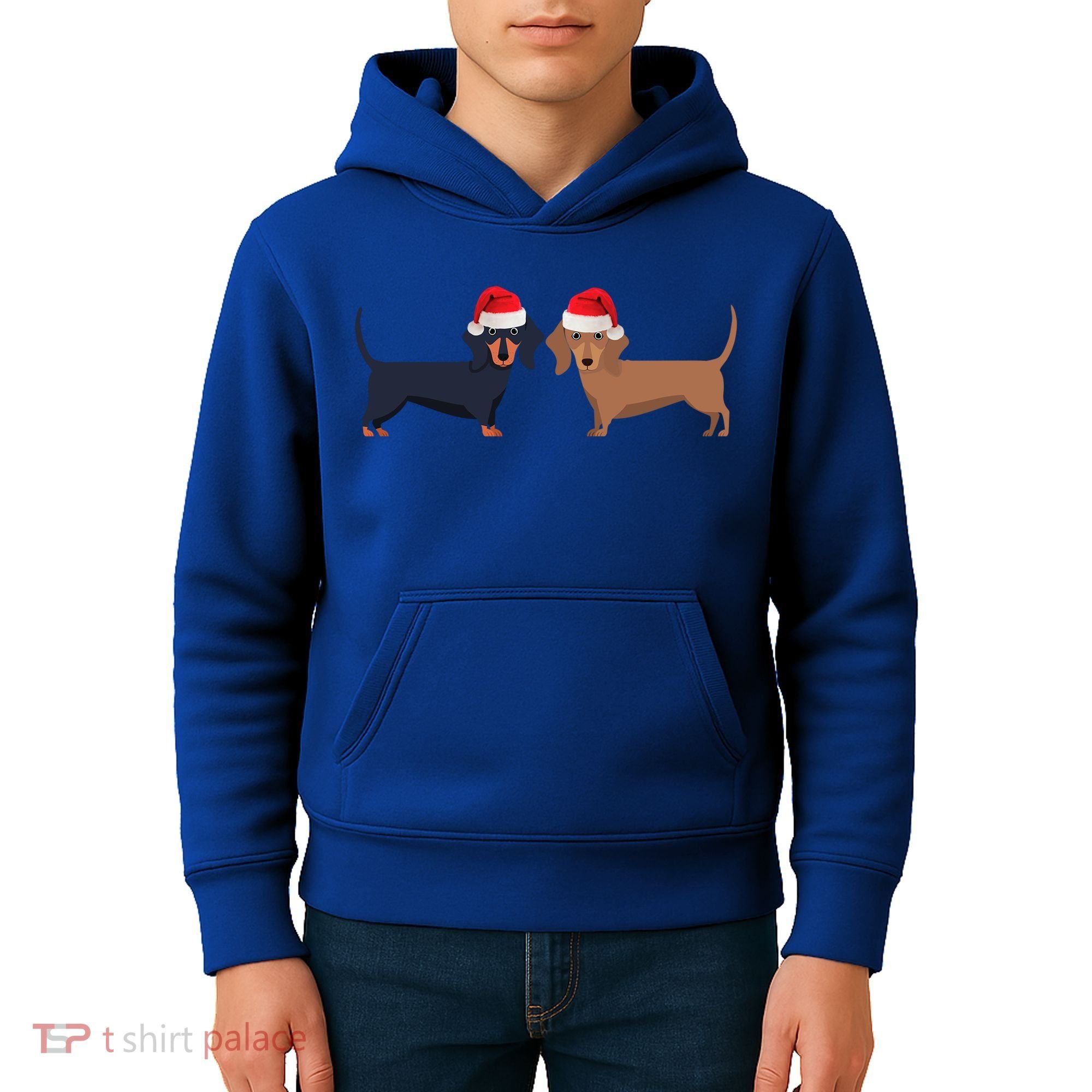 Dachshund Christmas Cool Gift Kids Hoodie