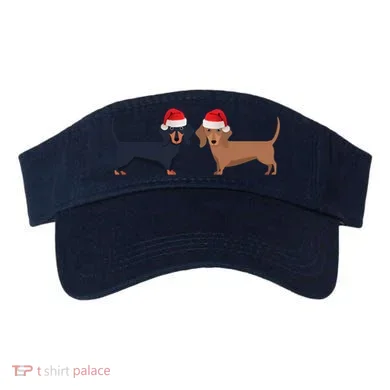 Visor