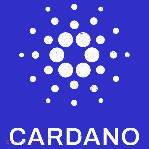 Distressed Cardano Cryptocurrency Logo Tumbler