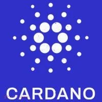 Distressed Cardano Cryptocurrency Logo Kids Hoodie thumb 5