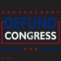 Defund Congress Defund Politicians Libertarian Political Beanie thumb 2
