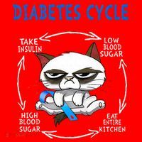 Diabetes Cycle Diabetes Awareness Funny Cat Outfits Santa Hat thumb 1