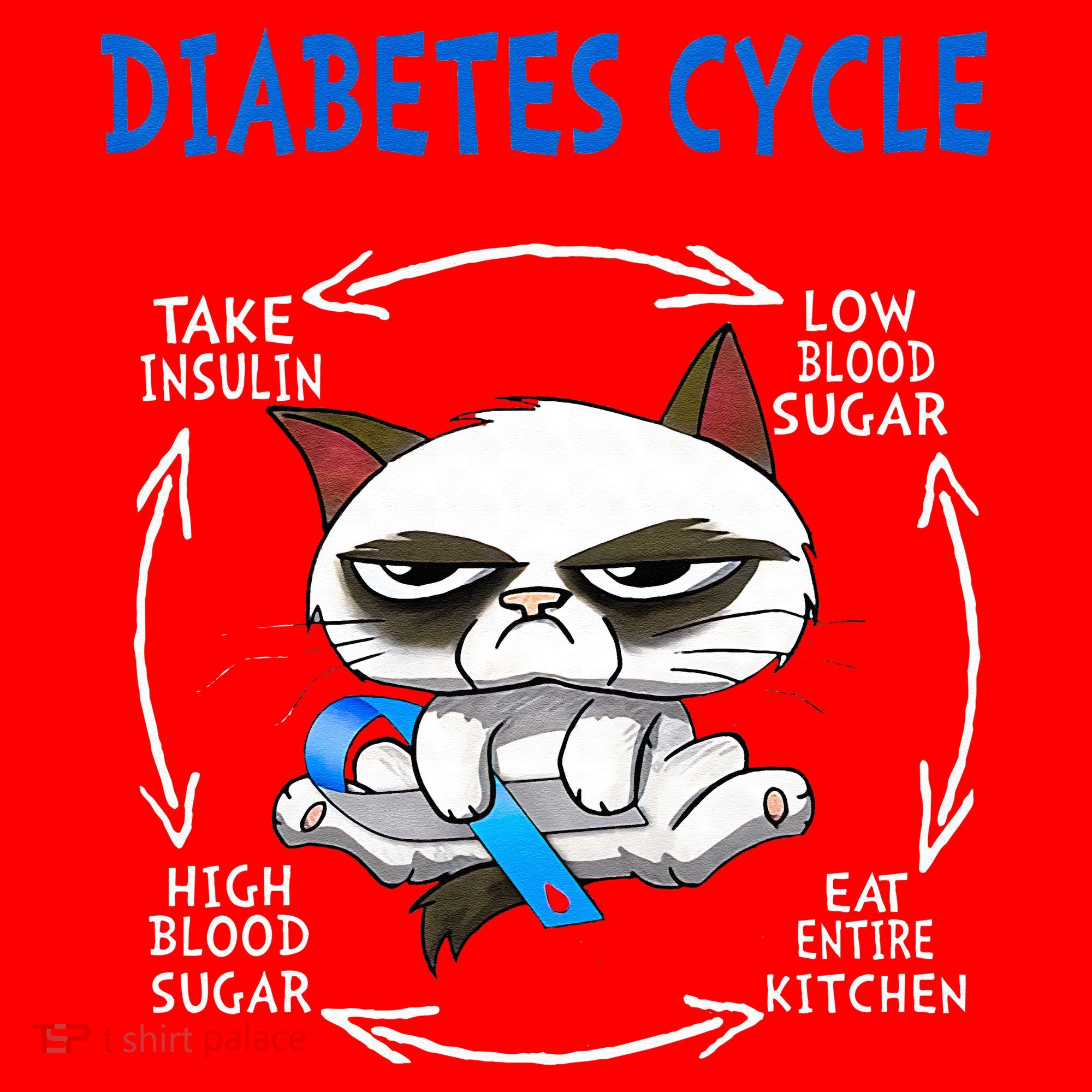 Diabetes Cycle Diabetes Awareness Funny Cat Outfits Santa Hat