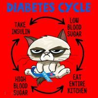 Diabetes Cycle Diabetes Awareness Cat Lover Santa Hat thumb 1