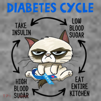 Diabetes Cycle Diabetes Awareness Cat Lover Toddler Hoodie thumb 2