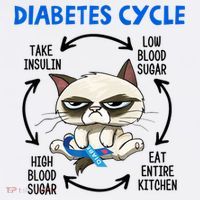 Diabetes Cycle Diabetes Awareness Cat Lover Kids Sweatshirt thumb 2