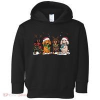 Dachshund Christmas Dog Lover Family Toddler Hoodie thumb 0