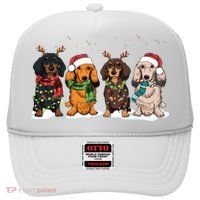 Dachshund Christmas Dog Lover Family Hat thumb 0