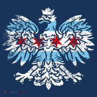 Distressed Chicago Flag Polish Poland Eagle Hoodie thumb 7