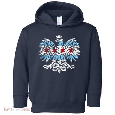 Distressed Chicago Flag Polish Poland Eagle Toddler Hoodie
