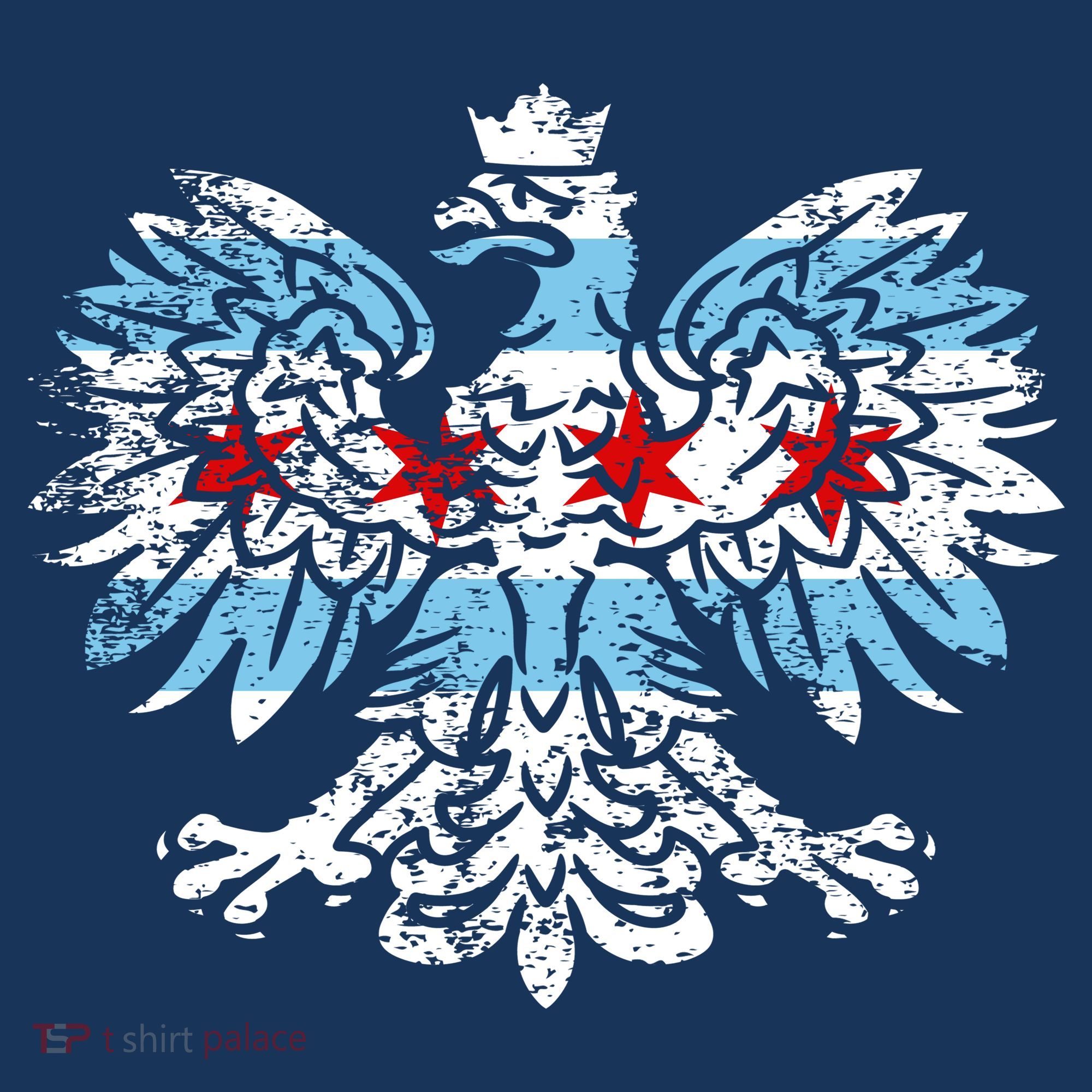 Distressed Chicago Flag Polish Poland Eagle Kids Sweatshirt