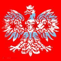 Distressed Chicago Flag Polish Poland Eagle Santa Hat thumb 1