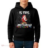 Dwarf Christmas Lights Is This Jolly Enough Kids Hoodie thumb 4