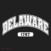 Delaware Collegiate Style 1787 Women's Sweatshirt thumb 2