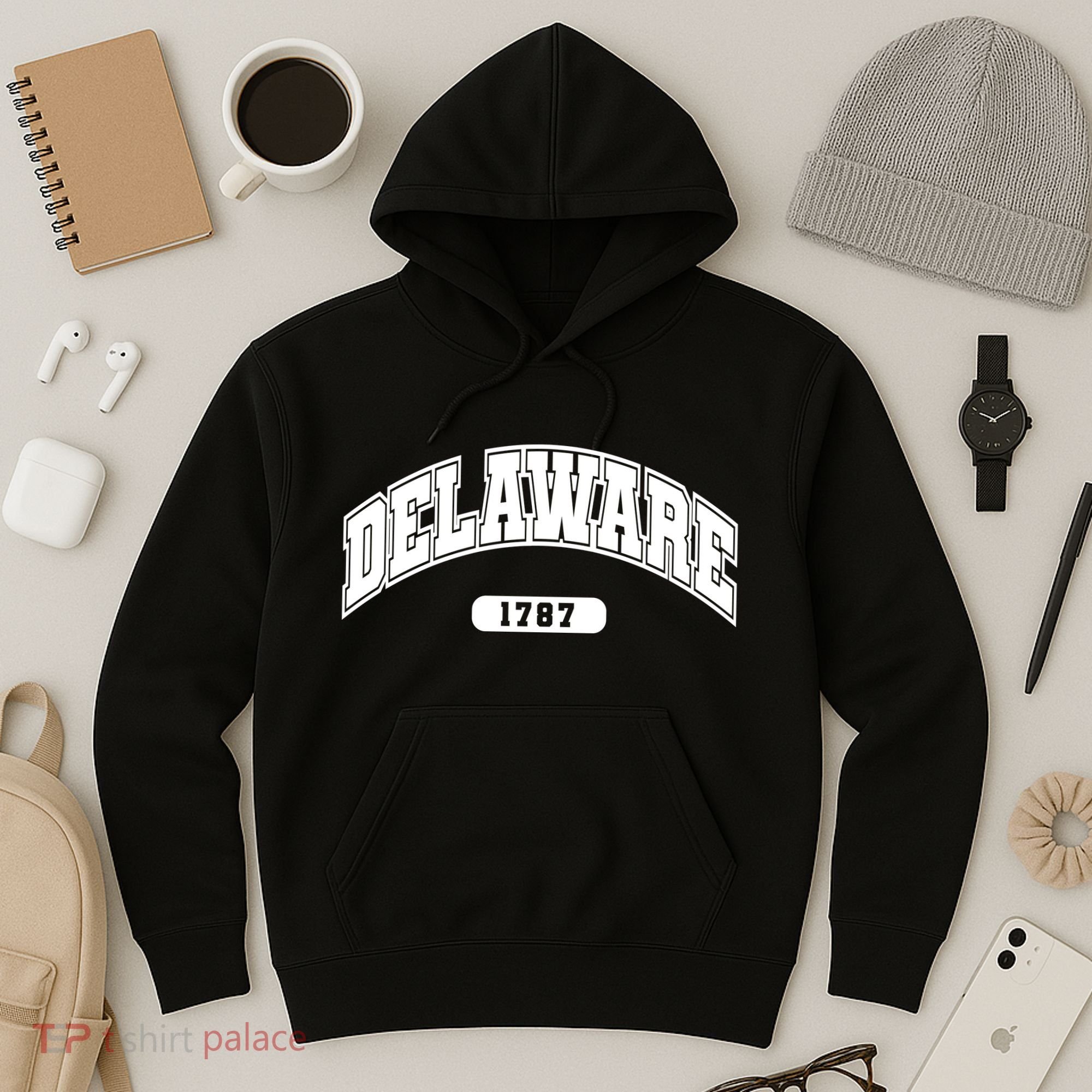 Delaware Collegiate Style 1787 Hoodie