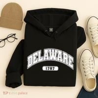 Delaware Collegiate Style 1787 Hoodie thumb 4