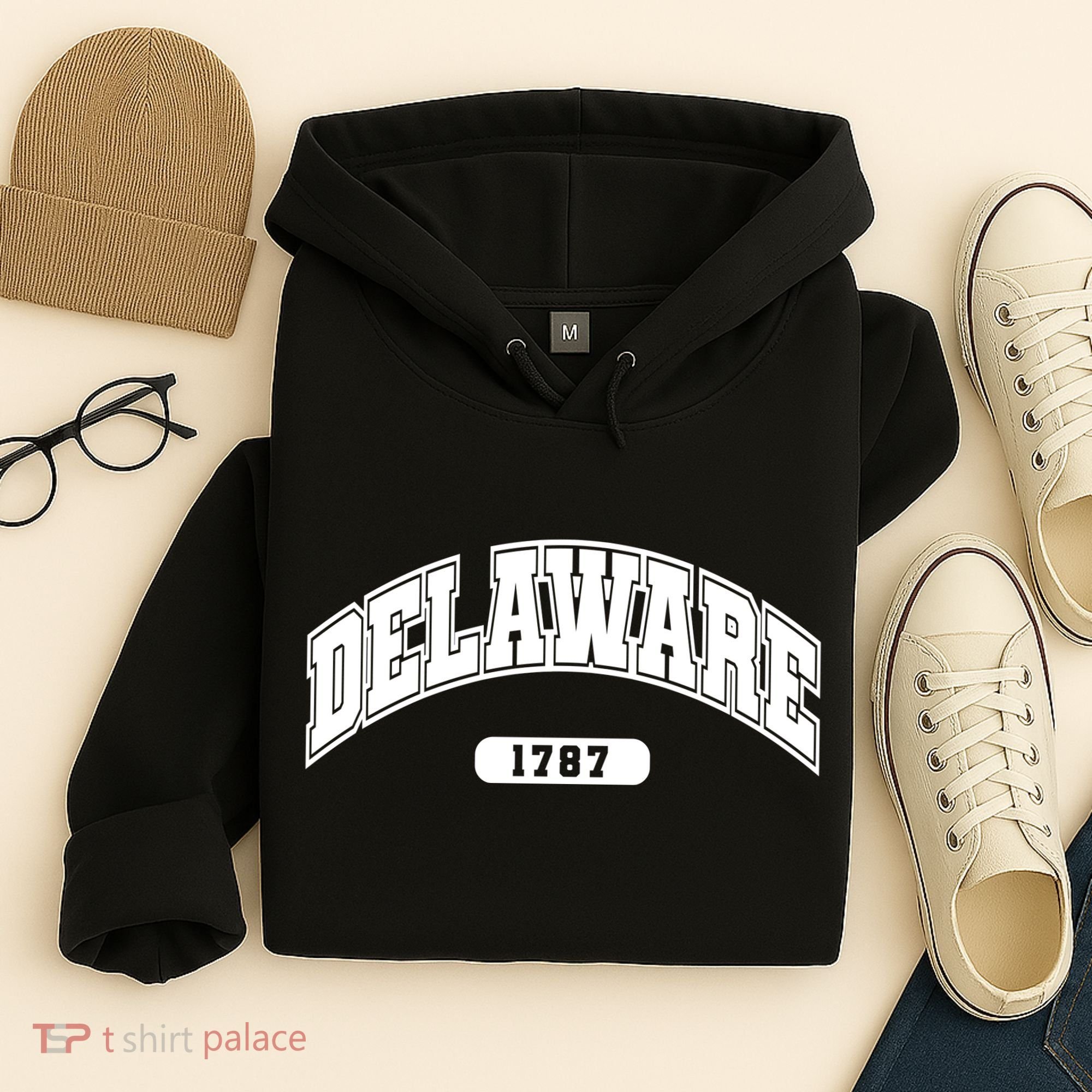 Delaware Collegiate Style 1787 Hoodie
