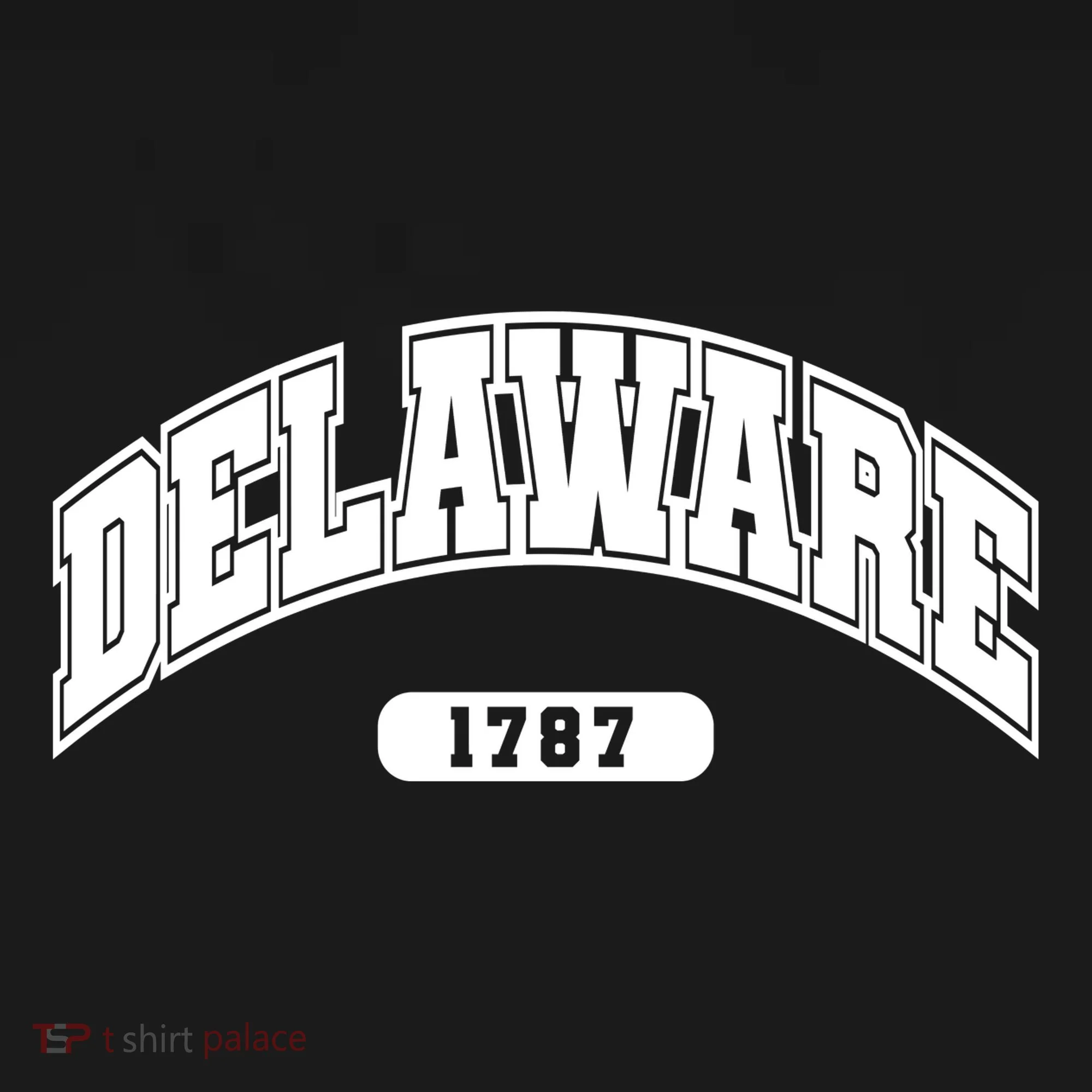 Delaware Collegiate Style 1787 Bucket Hat