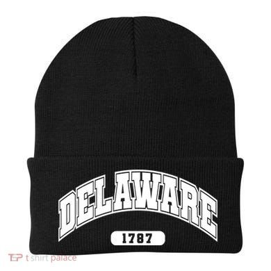 Delaware Collegiate Style 1787 Beanie
