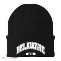 Delaware Collegiate Style 1787 Beanie thumb 0