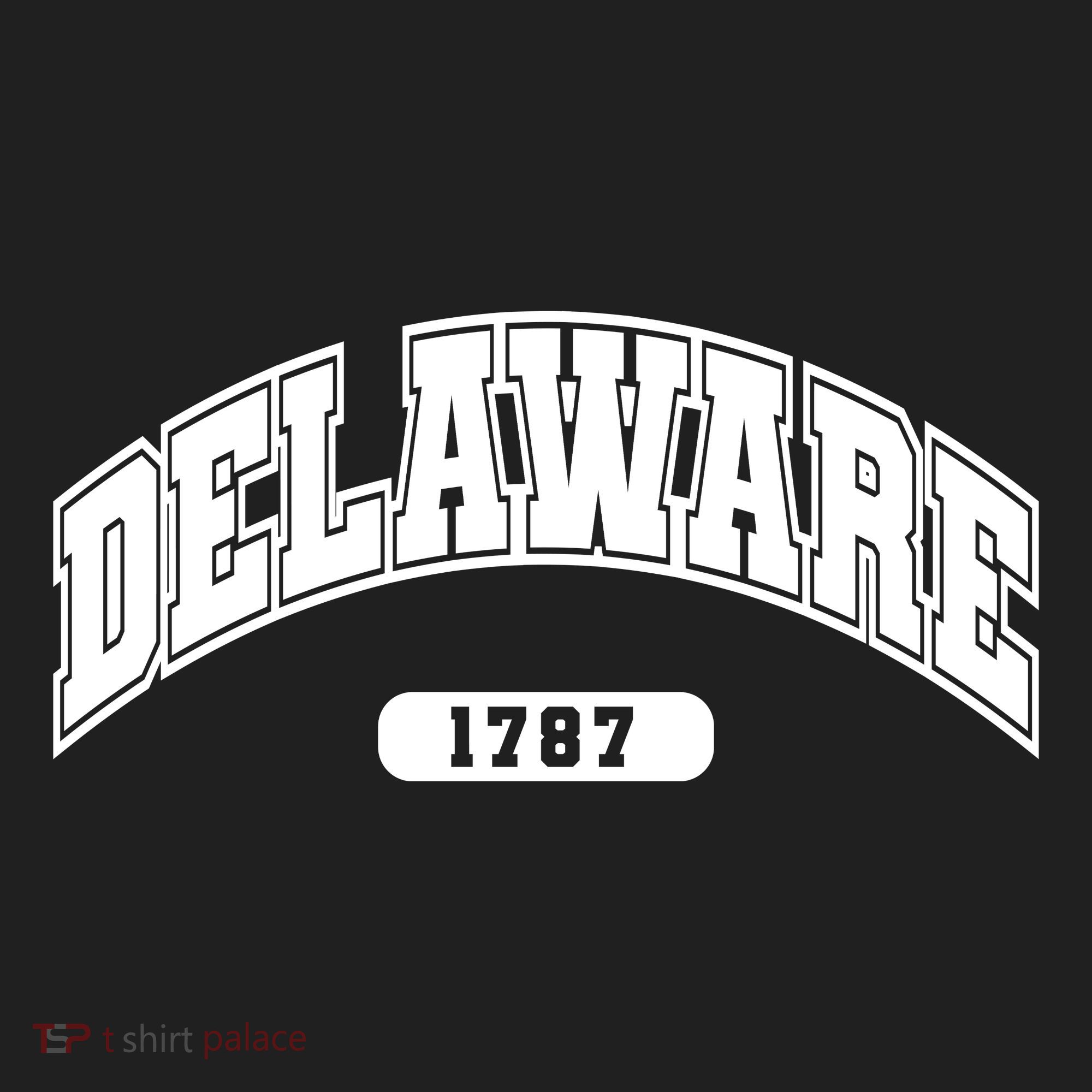 Delaware Collegiate Style 1787 Tumbler
