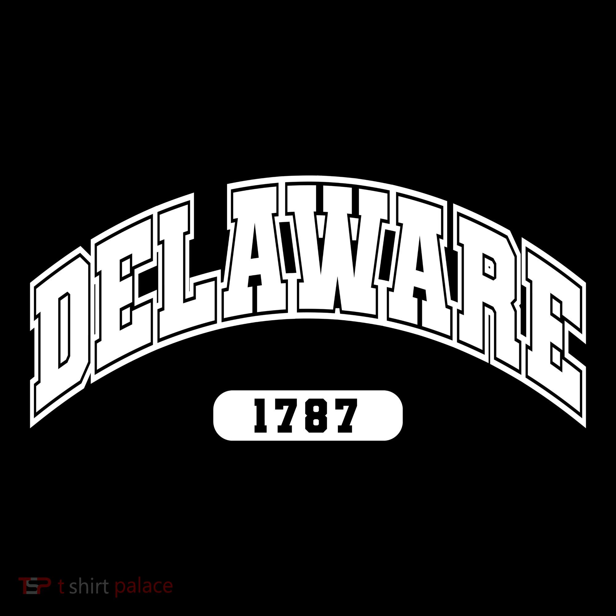Delaware Collegiate Style 1787 Women's Long Sleeve Shirt