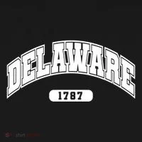 Delaware Collegiate Style 1787 Women's Long Sleeve Shirt thumb 2