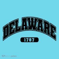 Delaware Collegiate Style 1787 Long Sleeve Shirt thumb 2