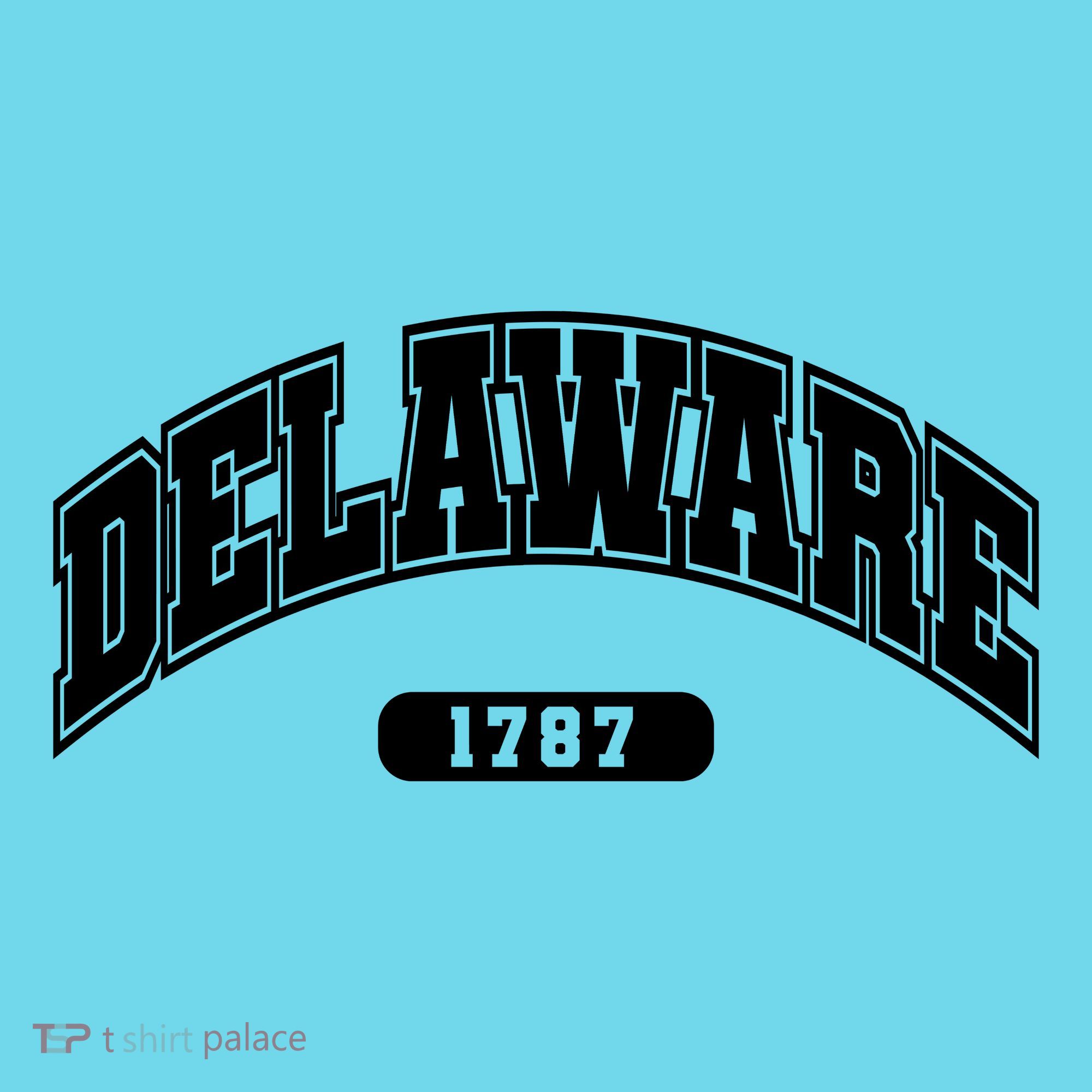 Delaware Collegiate Style 1787 Long Sleeve Shirt