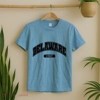 Delaware Collegiate Style 1787 T-Shirt thumb 2