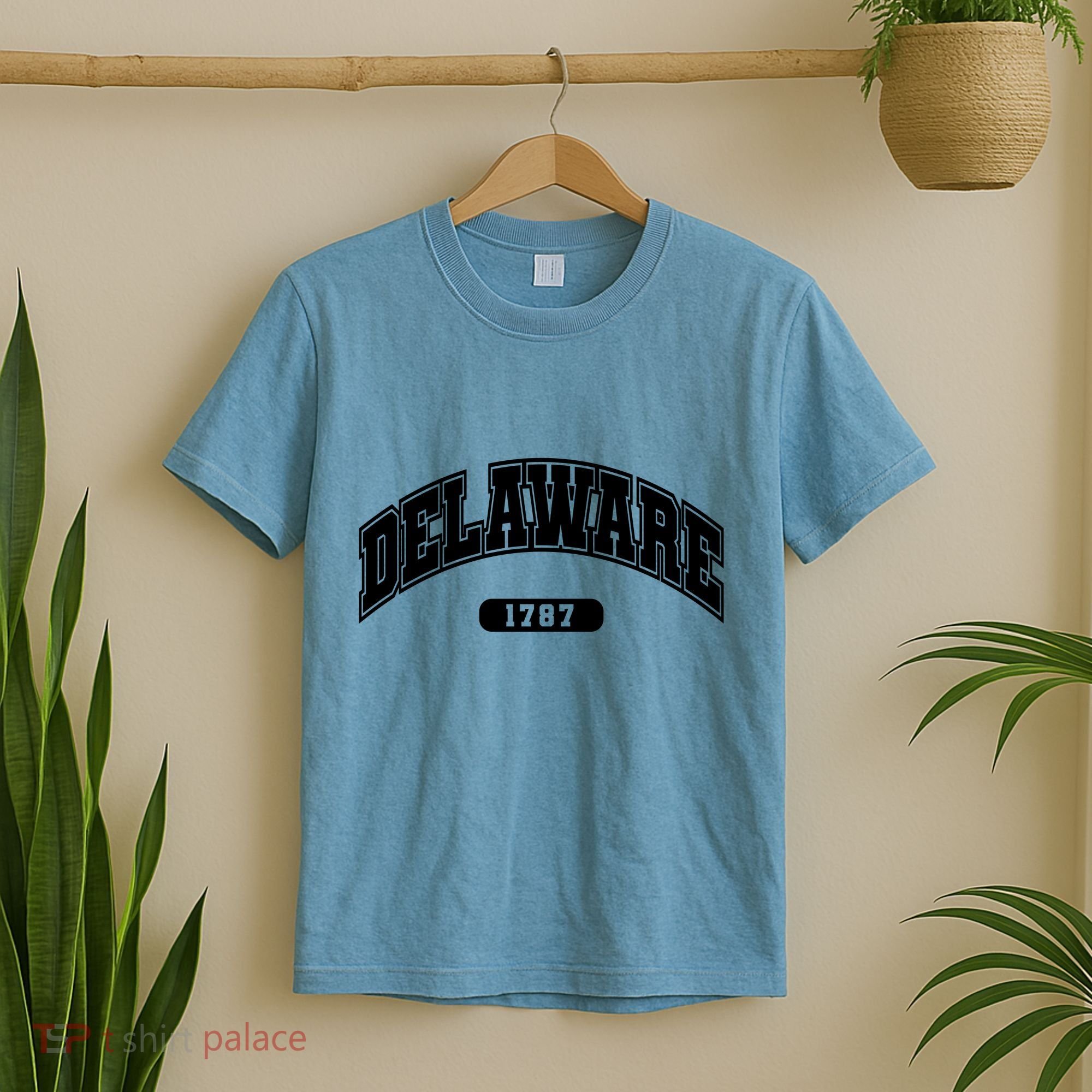 Delaware Collegiate Style 1787 T-Shirt